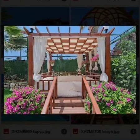 Villa Asel *