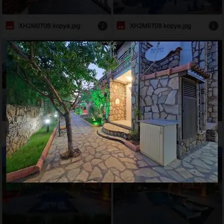 Asel Villa