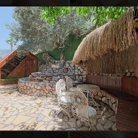 Villa Asel *